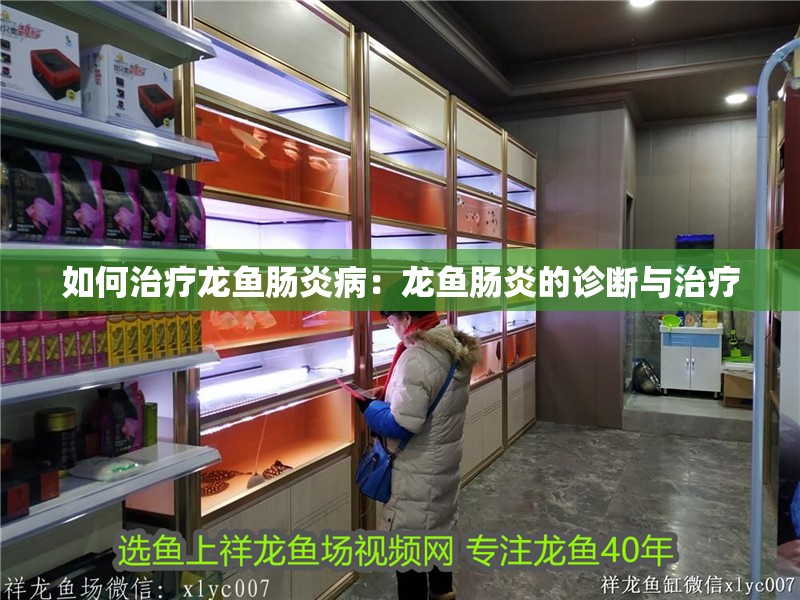 如何治療龍魚(yú)腸炎病：龍魚(yú)腸炎的診斷與治療