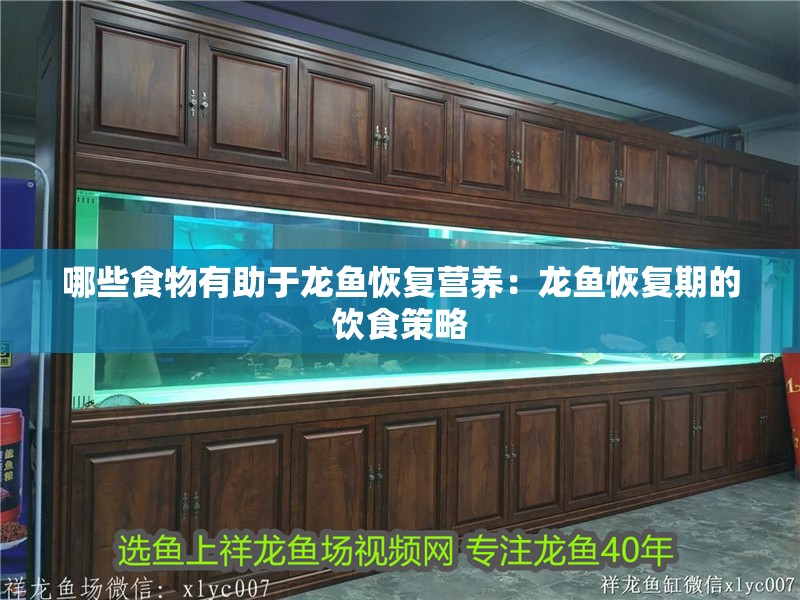 哪些食物有助于龍魚恢復營養：龍魚恢復期的飲食策略