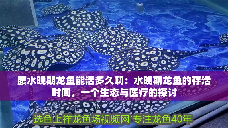腹水晚期龍魚能活多久啊：水晚期龍魚的存活時間，一個生態(tài)與醫(yī)療的探討