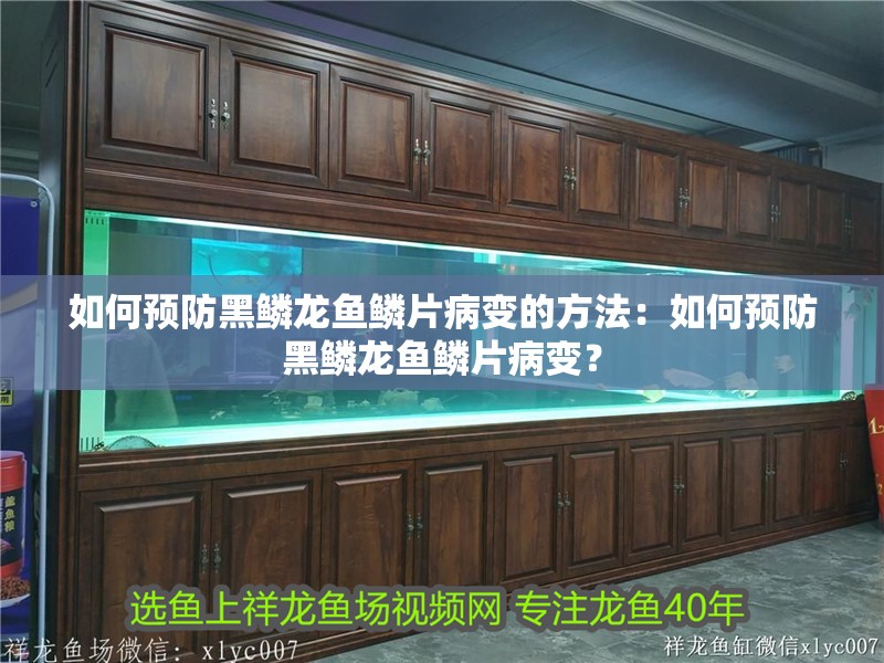 如何預防黑鱗龍魚鱗片病變的方法：如何預防黑鱗龍魚鱗片病變？