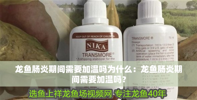 龍魚腸炎期間需要加溫嗎為什么：龍魚腸炎期間需要加溫嗎？