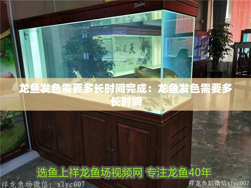 龍魚發色需要多長時間完成：龍魚發色需要多長時間