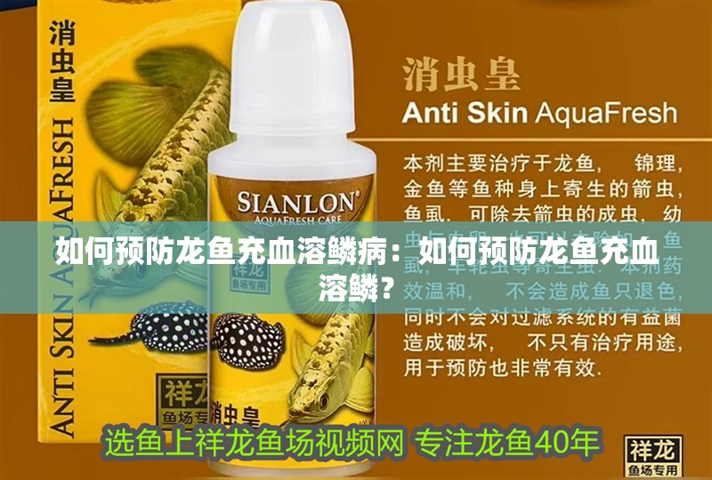 如何預防龍魚充血溶鱗?。喝绾晤A防龍魚充血溶鱗？
