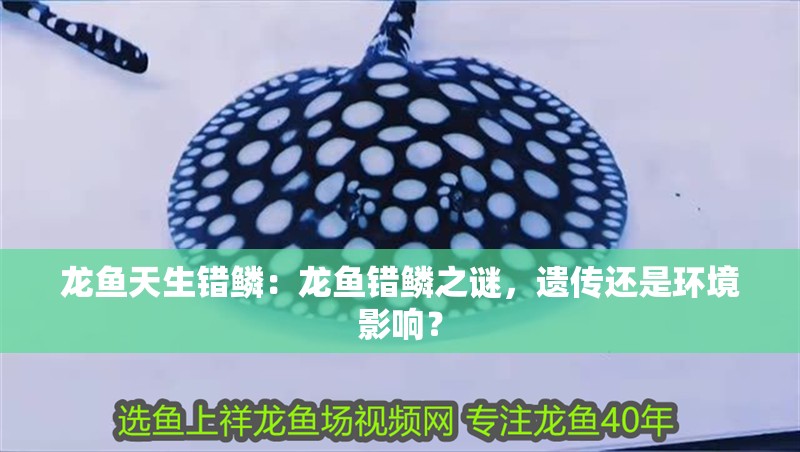 龍魚天生錯鱗：龍魚錯鱗之謎，遺傳還是環(huán)境影響？