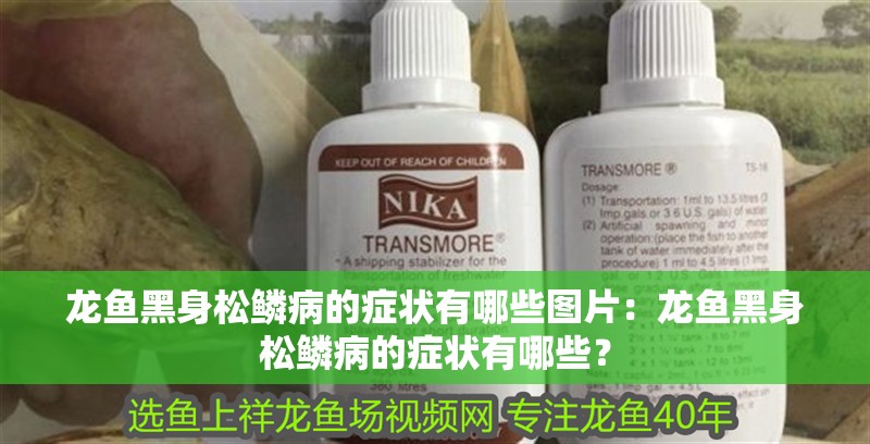 龍魚黑身松鱗病的癥狀有哪些圖片：龍魚黑身松鱗病的癥狀有哪些？