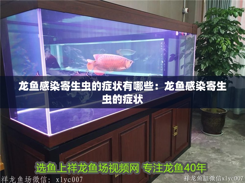 龍魚(yú)感染寄生蟲(chóng)的癥狀有哪些：龍魚(yú)感染寄生蟲(chóng)的癥狀