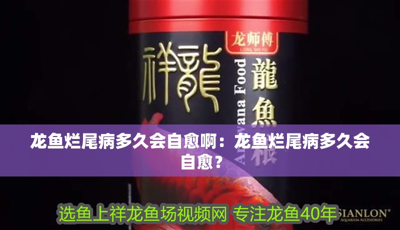 龍魚爛尾病多久會自愈?。糊堲~爛尾病多久會自愈？