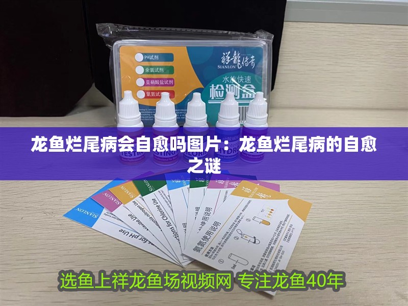 龍魚爛尾病會自愈嗎圖片：龍魚爛尾病的自愈之謎