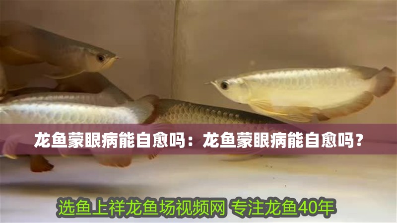 龍魚蒙眼病能自愈嗎：龍魚蒙眼病能自愈嗎？