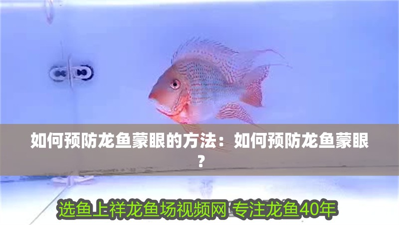 如何預防龍魚蒙眼的方法：如何預防龍魚蒙眼？