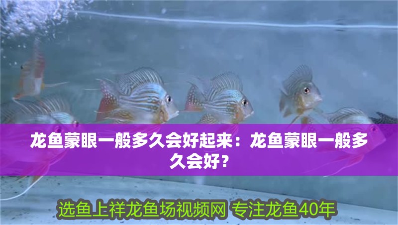 龍魚蒙眼一般多久會好起來：龍魚蒙眼一般多久會好？