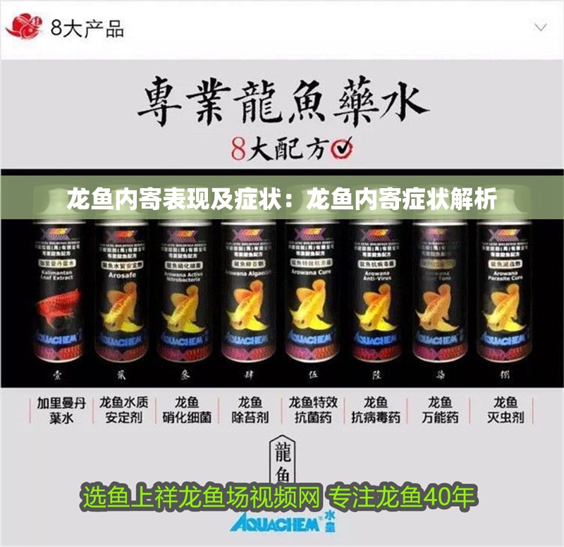 龍魚內寄表現及癥狀：龍魚內寄癥狀解析