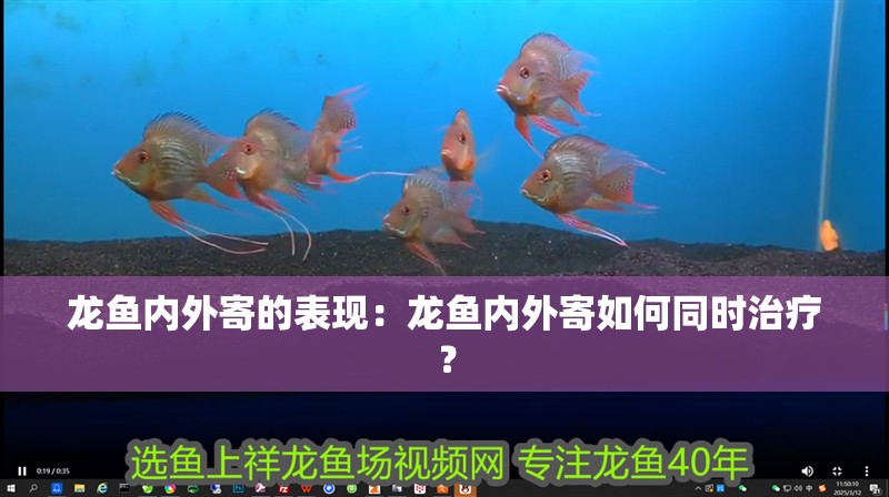 龍魚內(nèi)外寄的表現(xiàn)：龍魚內(nèi)外寄如何同時(shí)治療？