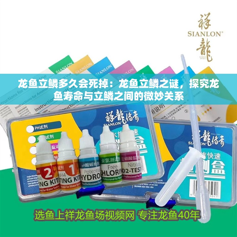 龍魚立鱗多久會死掉：龍魚立鱗之謎，探究龍魚壽命與立鱗之間的微妙關系