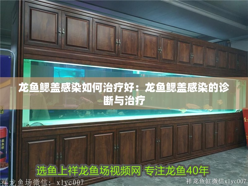 龍魚鰓蓋感染如何治療好：龍魚鰓蓋感染的診斷與治療