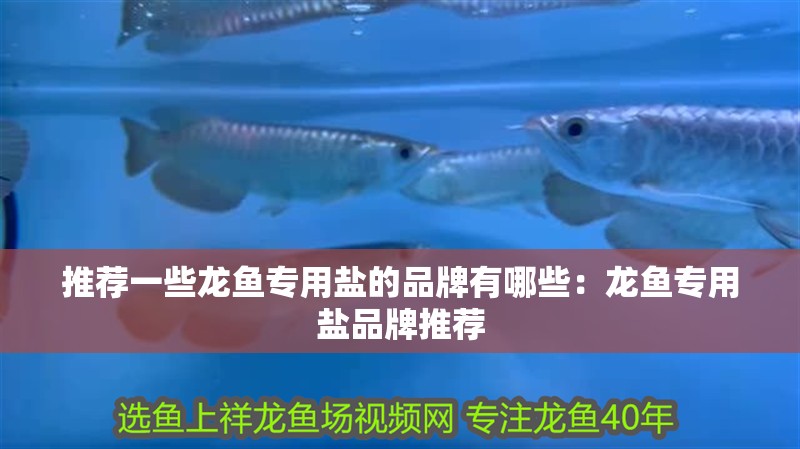推薦一些龍魚專用鹽的品牌有哪些：龍魚專用鹽品牌推薦
