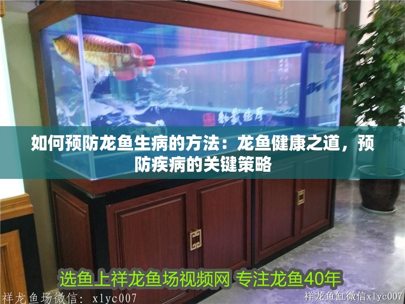 如何預防龍魚生病的方法：龍魚健康之道，預防疾病的關鍵策略