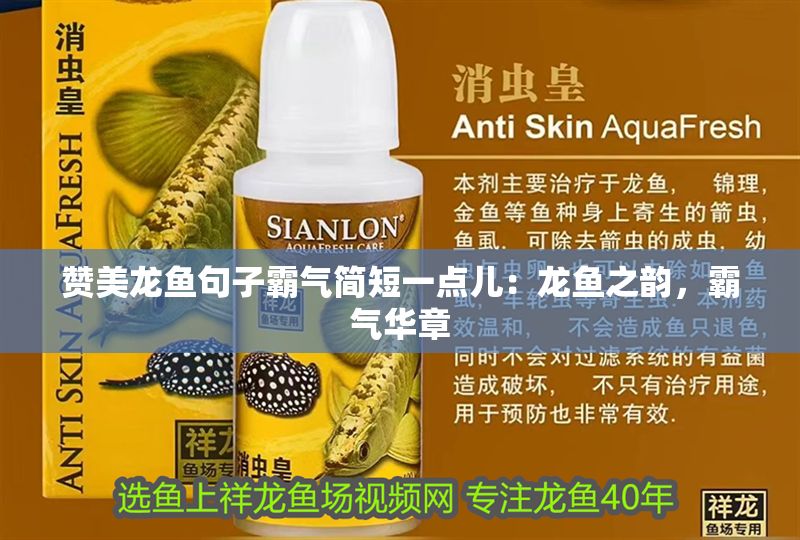 贊美龍魚句子霸氣簡短一點兒：龍魚之韻，霸氣華章 贊美龍魚句子霸氣簡短一點兒：龍魚之韻，霸氣華章 龍魚百科 第1張