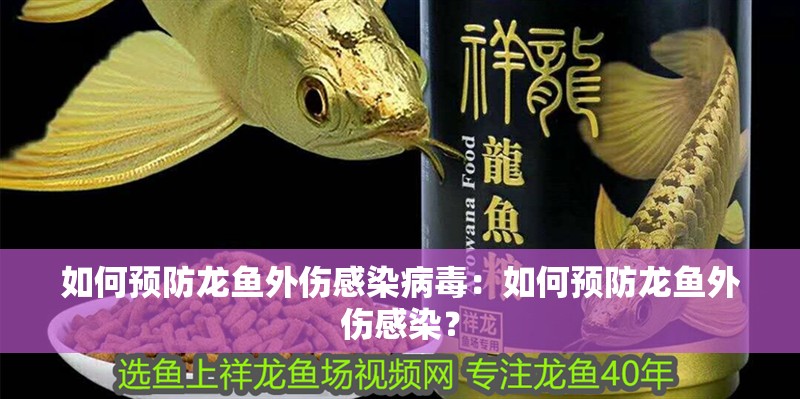 如何預防龍魚外傷感染病毒：如何預防龍魚外傷感染？