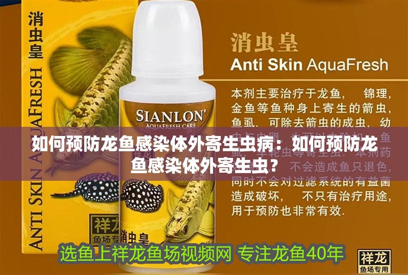 如何預防龍魚感染體外寄生蟲病：如何預防龍魚感染體外寄生蟲？