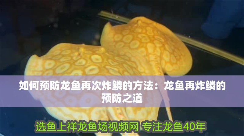 如何預防龍魚再次炸鱗的方法：龍魚再炸鱗的預防之道