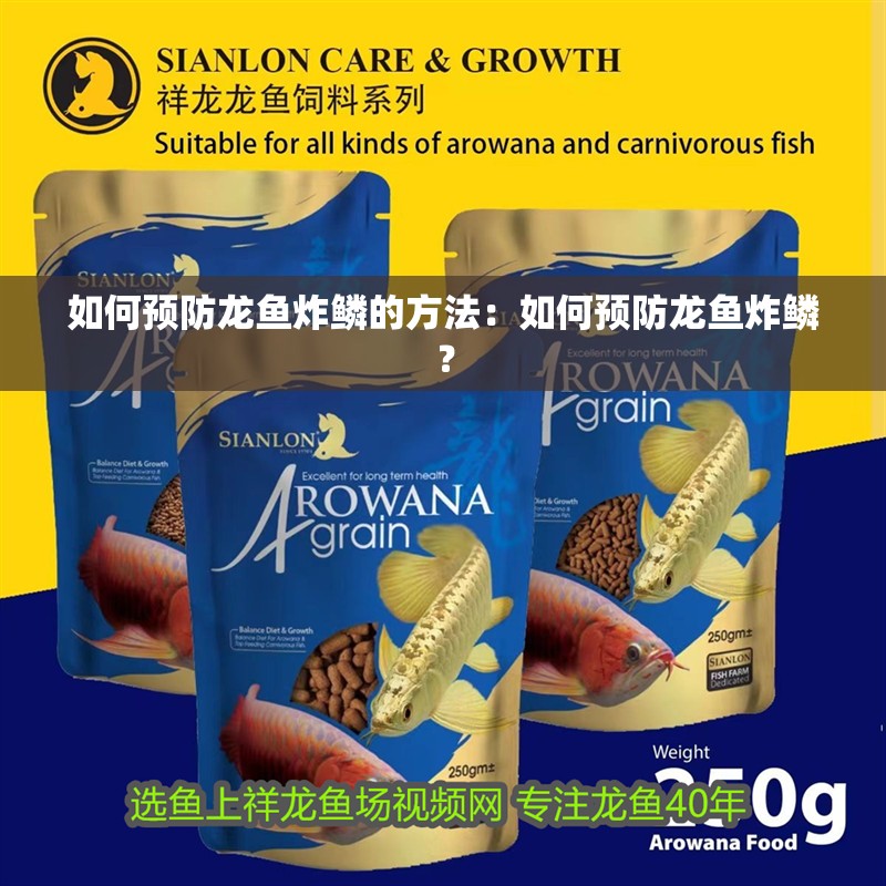 如何預防龍魚炸鱗的方法：如何預防龍魚炸鱗？ 如何預防龍魚炸鱗的方法：如何預防龍魚炸鱗？ 水族問答