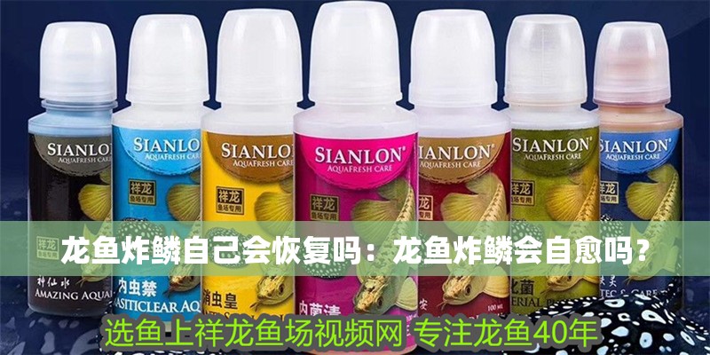 龍魚炸鱗自己會恢復嗎：龍魚炸鱗會自愈嗎？