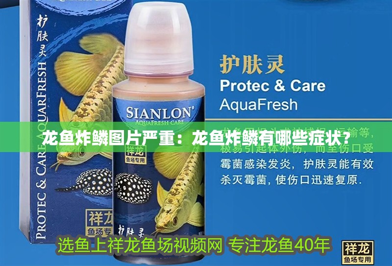 龍魚炸鱗圖片嚴重：龍魚炸鱗有哪些癥狀？
