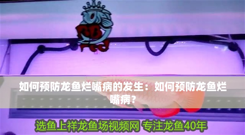 如何預(yù)防龍魚爛嘴病的發(fā)生：如何預(yù)防龍魚爛嘴病？