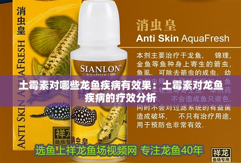 土霉素對哪些龍魚疾病有效果：土霉素對龍魚疾病的療效分析