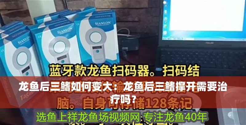 龍魚后三鰭如何變大：龍魚后三鰭撐開需要治療嗎？