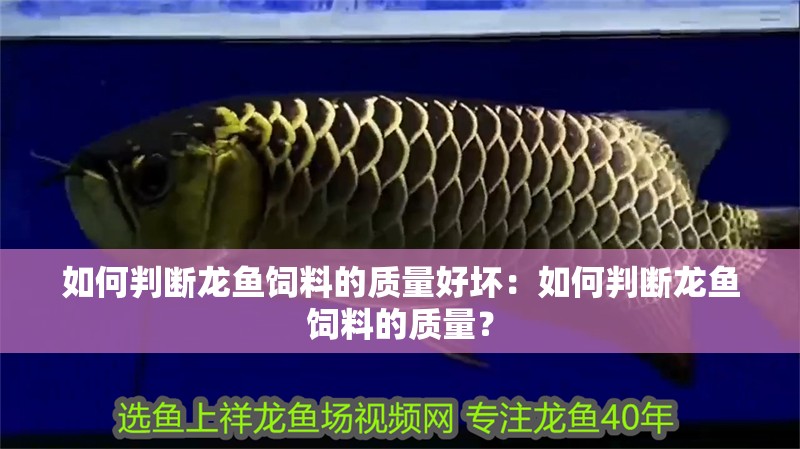 如何判斷龍魚飼料的質量好壞：如何判斷龍魚飼料的質量？