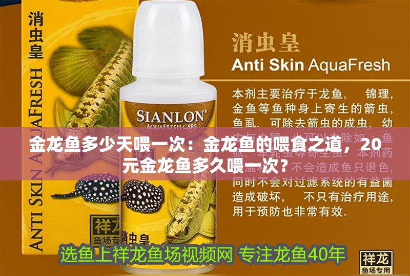 金龍魚多少天喂一次：金龍魚的喂食之道，20元金龍魚多久喂一次？