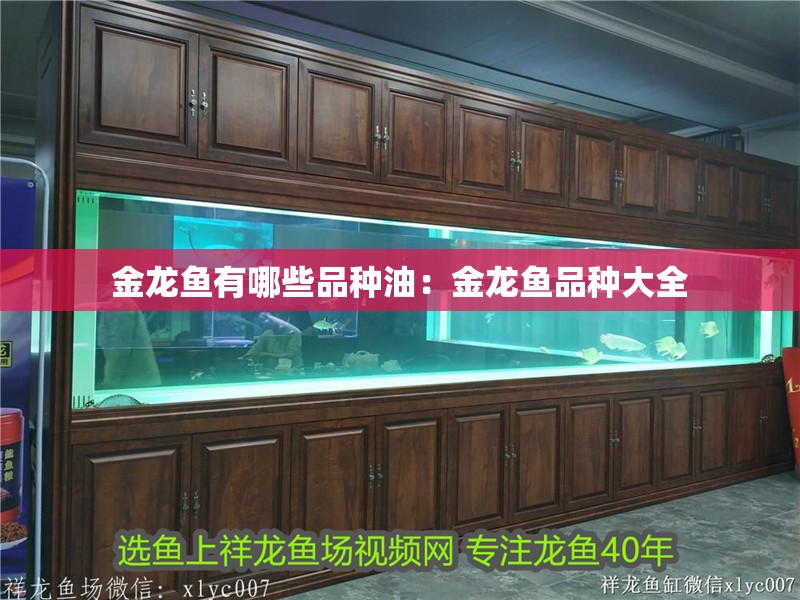 金龍魚有哪些品種油：金龍魚品種大全