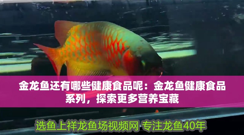 金龍魚(yú)還有哪些健康食品呢：金龍魚(yú)健康食品系列，探索更多營(yíng)養(yǎng)寶藏
