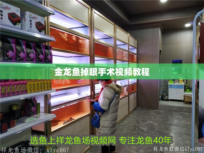 金龍魚掉眼手術視頻教程