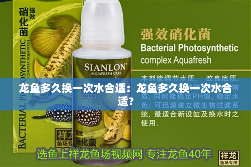 龍魚多久換一次水合適：龍魚多久換一次水合適？