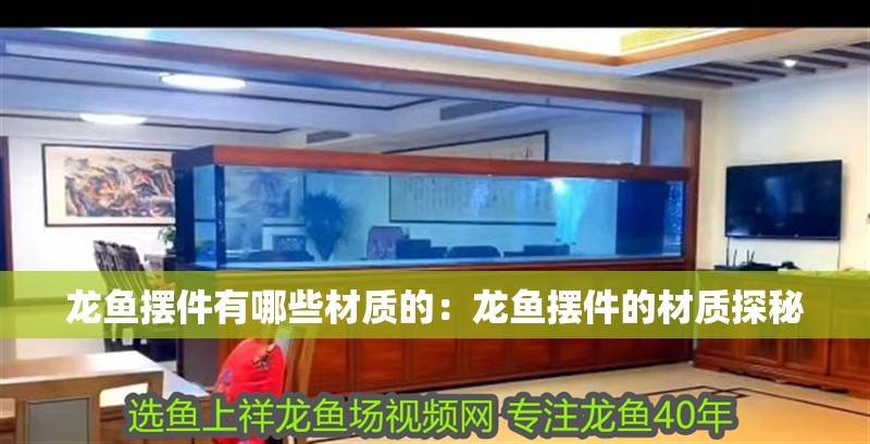龍魚擺件有哪些材質的：龍魚擺件的材質探秘
