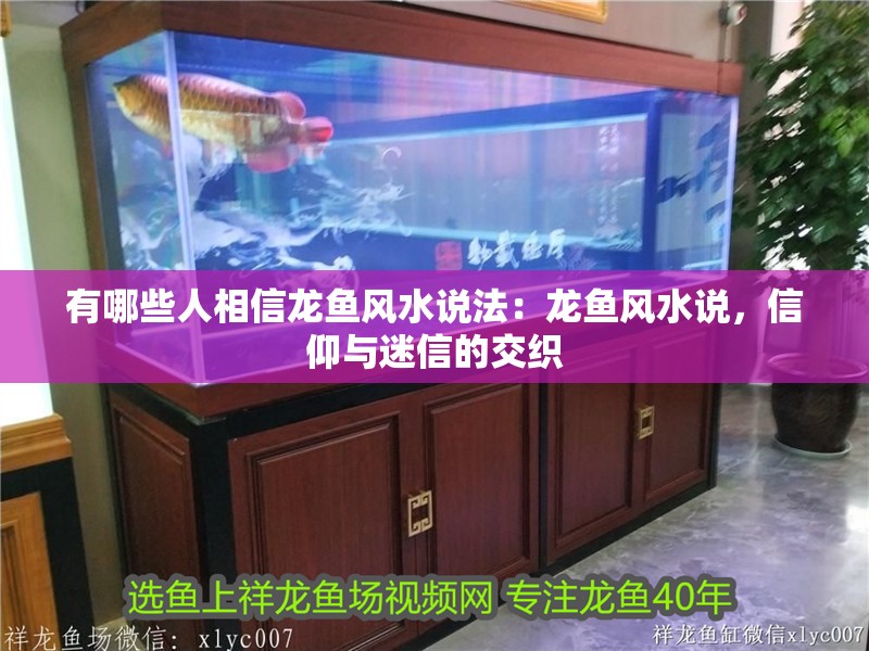 有哪些人相信龍魚風水說法：龍魚風水說，信仰與迷信的交織