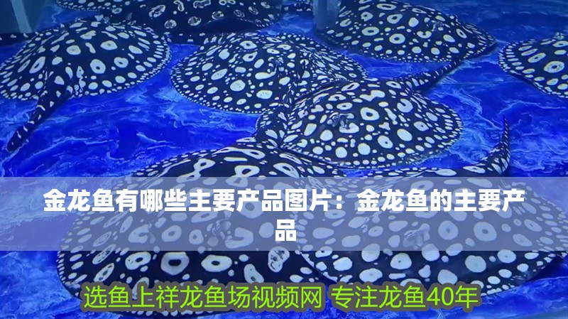 金龍魚有哪些主要產(chǎn)品圖片：金龍魚的主要產(chǎn)品