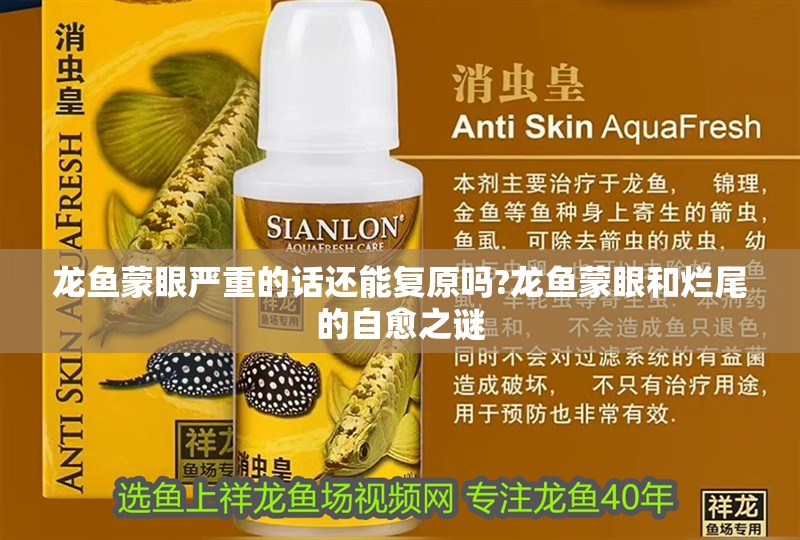 龍魚蒙眼嚴重的話還能復原嗎?龍魚蒙眼和爛尾的自愈之謎