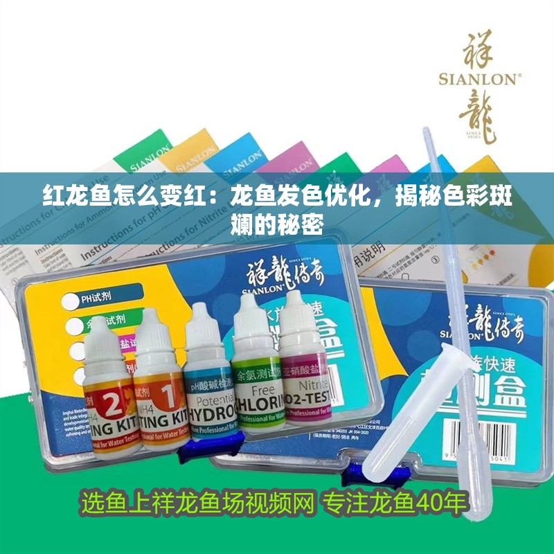 紅龍魚怎么變紅：龍魚發色優化，揭秘色彩斑斕的秘密