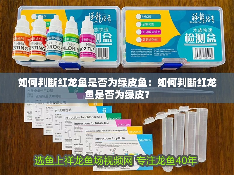 如何判斷紅龍魚是否為綠皮魚：如何判斷紅龍魚是否為綠皮？