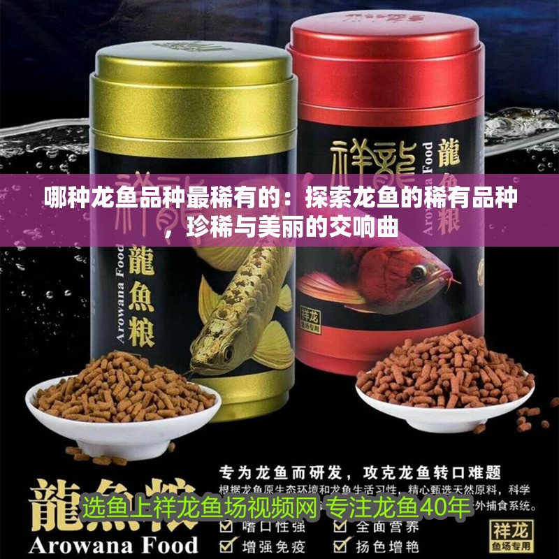 哪種龍魚品種最稀有的：探索龍魚的稀有品種，珍稀與美麗的交響曲