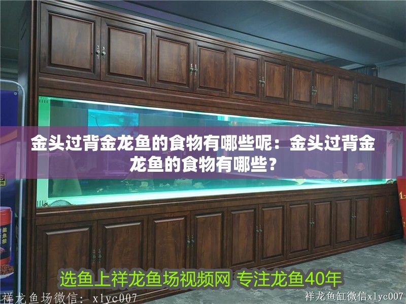 金頭過(guò)背金龍魚(yú)的食物有哪些呢：金頭過(guò)背金龍魚(yú)的食物有哪些？