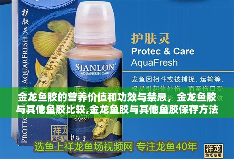 金龍魚膠的營養價值和功效與禁忌，金龍魚膠與其他魚膠比較,金龍魚膠與其他魚膠保存方法