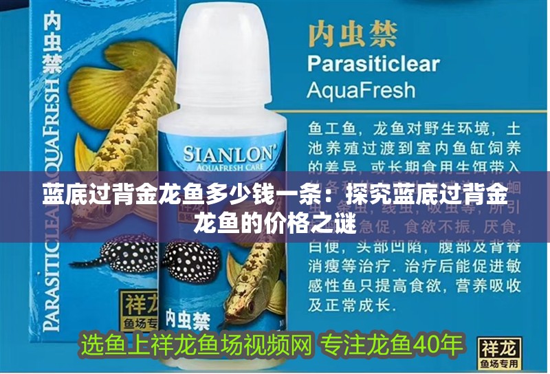 藍底過背金龍魚多少錢一條：探究藍底過背金龍魚的價格之謎