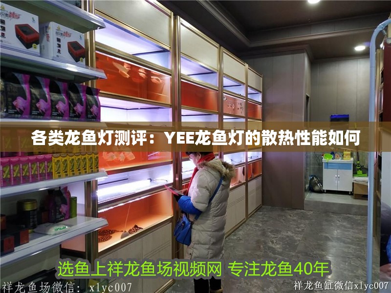 各類龍魚燈測評：YEE龍魚燈的散熱性能如何