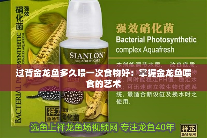過背金龍魚多久喂一次食物好：掌握金龍魚喂食的藝術