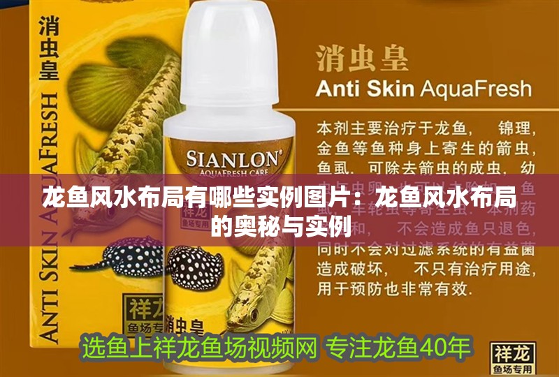 龍魚風(fēng)水布局有哪些實(shí)例圖片：龍魚風(fēng)水布局的奧秘與實(shí)例